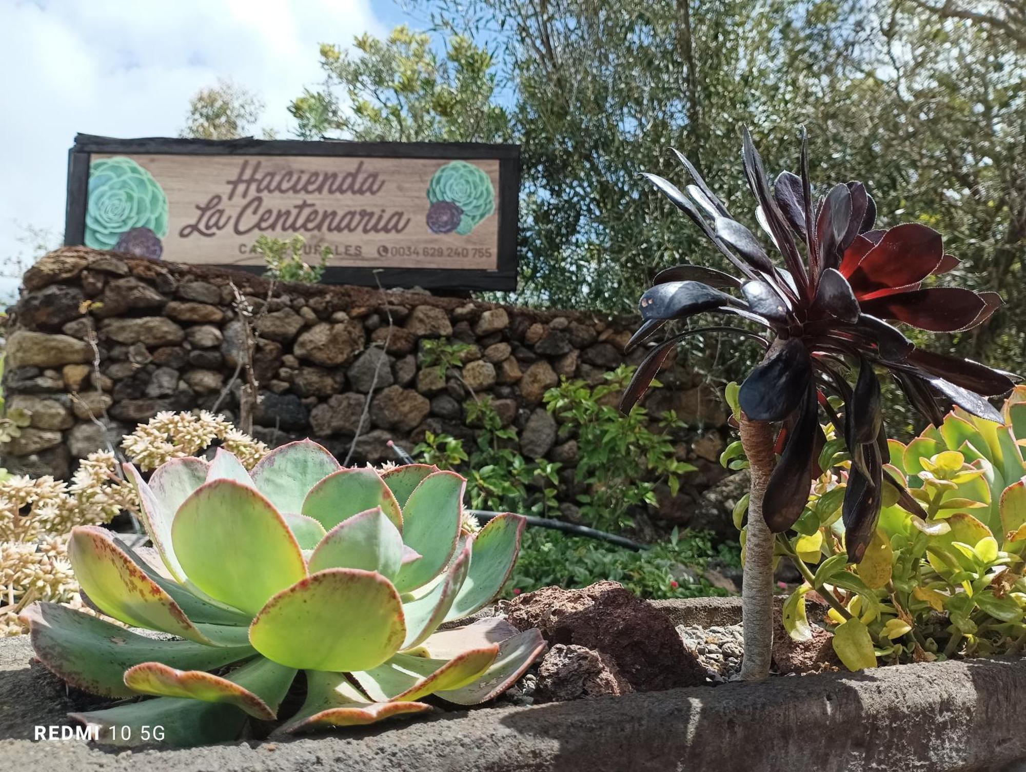 Hacienda La Centenaria,Casas Rurales El Paso Ngoại thất bức ảnh